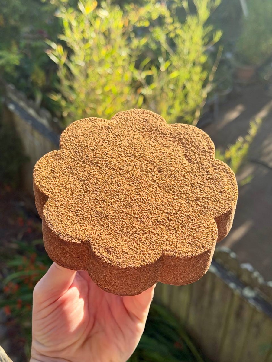 Whole flower-shaped Chocolate-Passion Tart dusted with cocoa powder