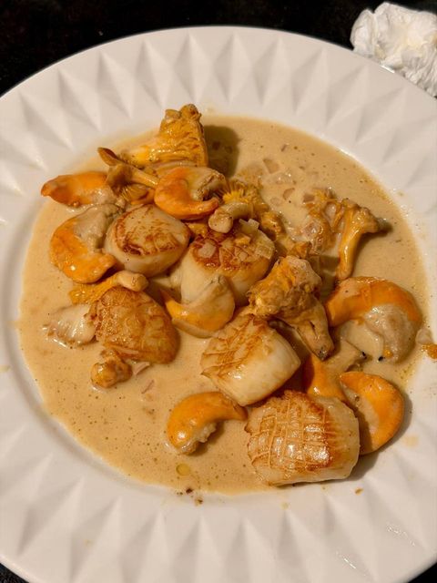 Seared scallops and mushrooms served in a champagne cream sauce